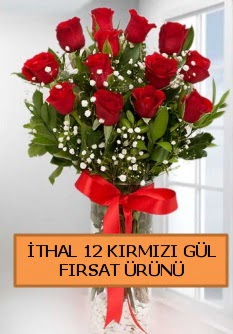  �thal k�rm�z� 12 adet kaliteli g�l  Ankara ucuz �i�ek g�nder 