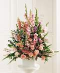  Ankara �i�ek sat���  Glayor karanfil Gerbera tanzim