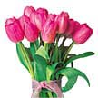  Ankara �i�ek g�nderme  10 adet kalite pembe LaLe